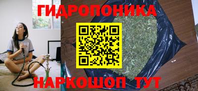 гашик Малоярославец