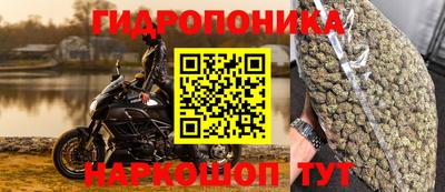 каннабис Малгобек