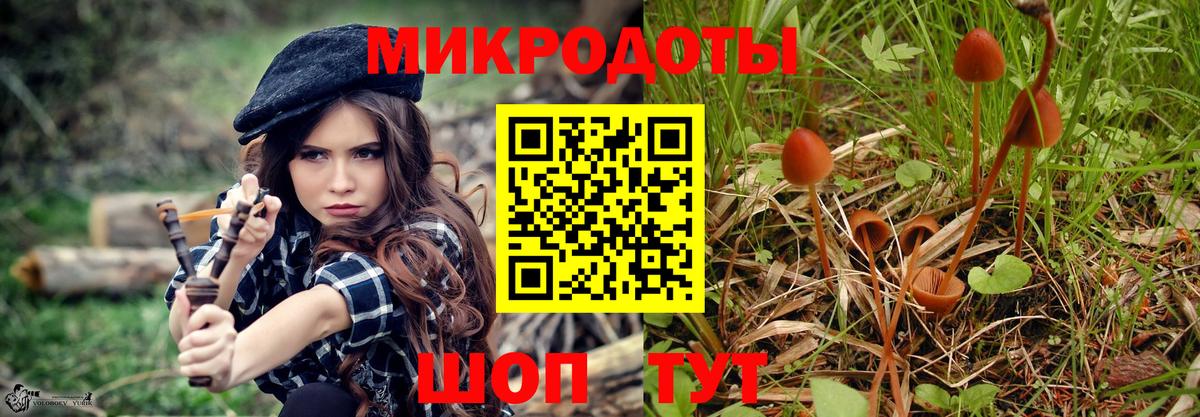 Галлюциногенные грибы Cubensis Усть-Илимск