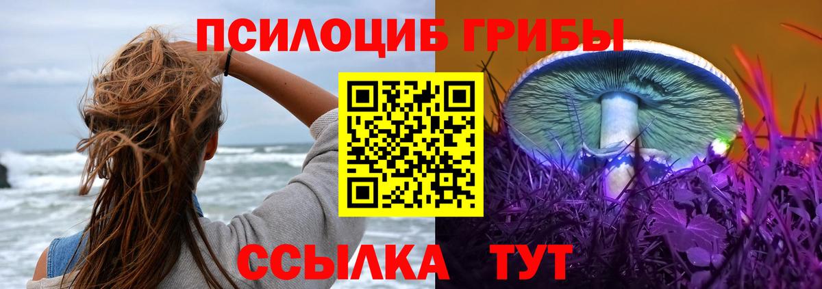 Усть-Илимск  магазин продажи   Вход с VPN  Псилоцибиновые грибы MAGIC MUSHROOMS 